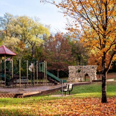 Brown RobertsonPark FallLeaves 389 Brown RobertsonPark FallLeaves 389