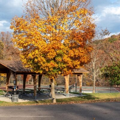 FishburnParkFallLeaves 296 FishburnParkFallLeaves 296