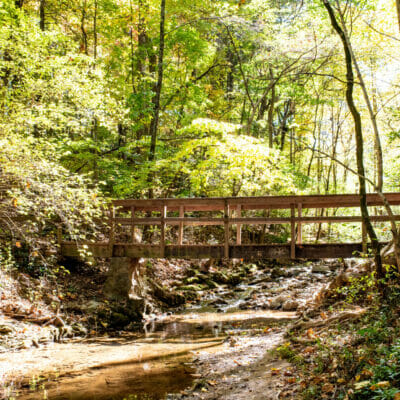 Fishburn Park Stream Trail