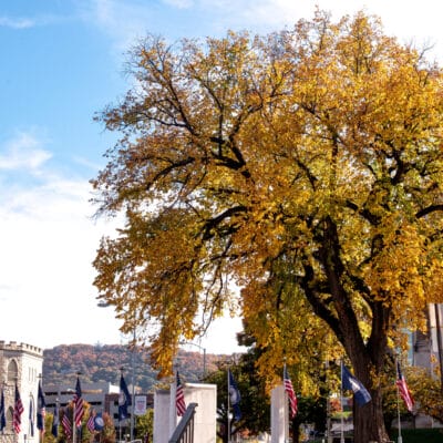 FreedomPlaza FallLeaves 405 FreedomPlaza FallLeaves 405