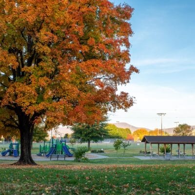 HuffLanePark FallLeaves 334