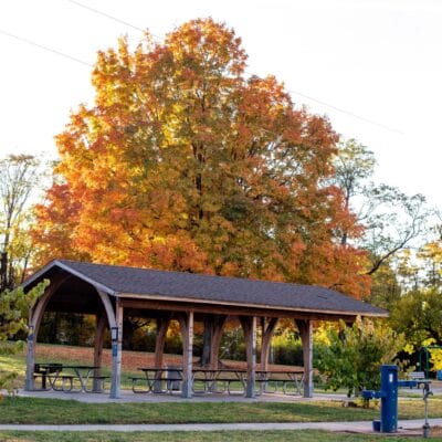 HuffLanePark FallLeaves web 366