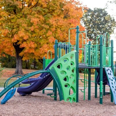 HuffLanePark FallLeaves web 368