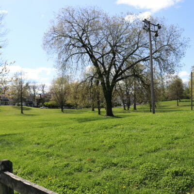 Eureka Park open space IMG 3972