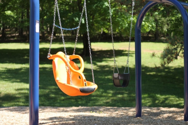 Roanoke Sunrise Park Swingset