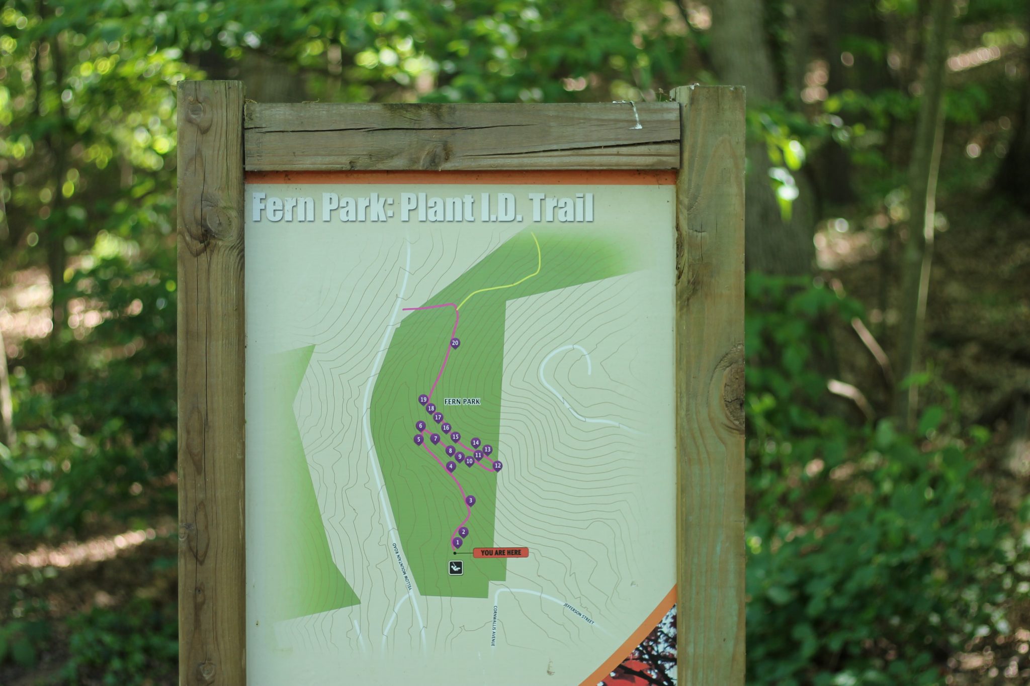 Fern Park Plant Identification Trail Map in Roanoke