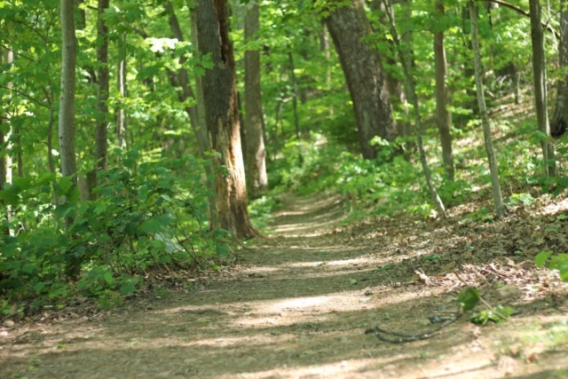Fern Park