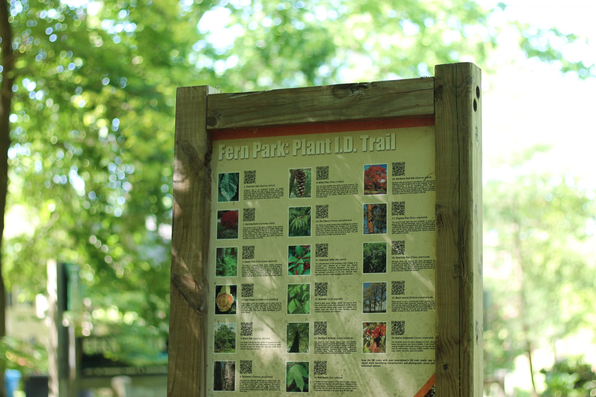Fern Park plant identification trail sign