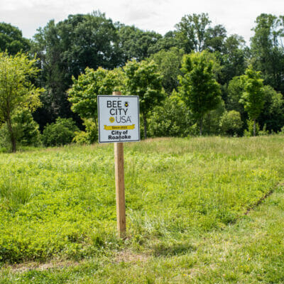 VicThomasPark 766 VicThomasPark 766