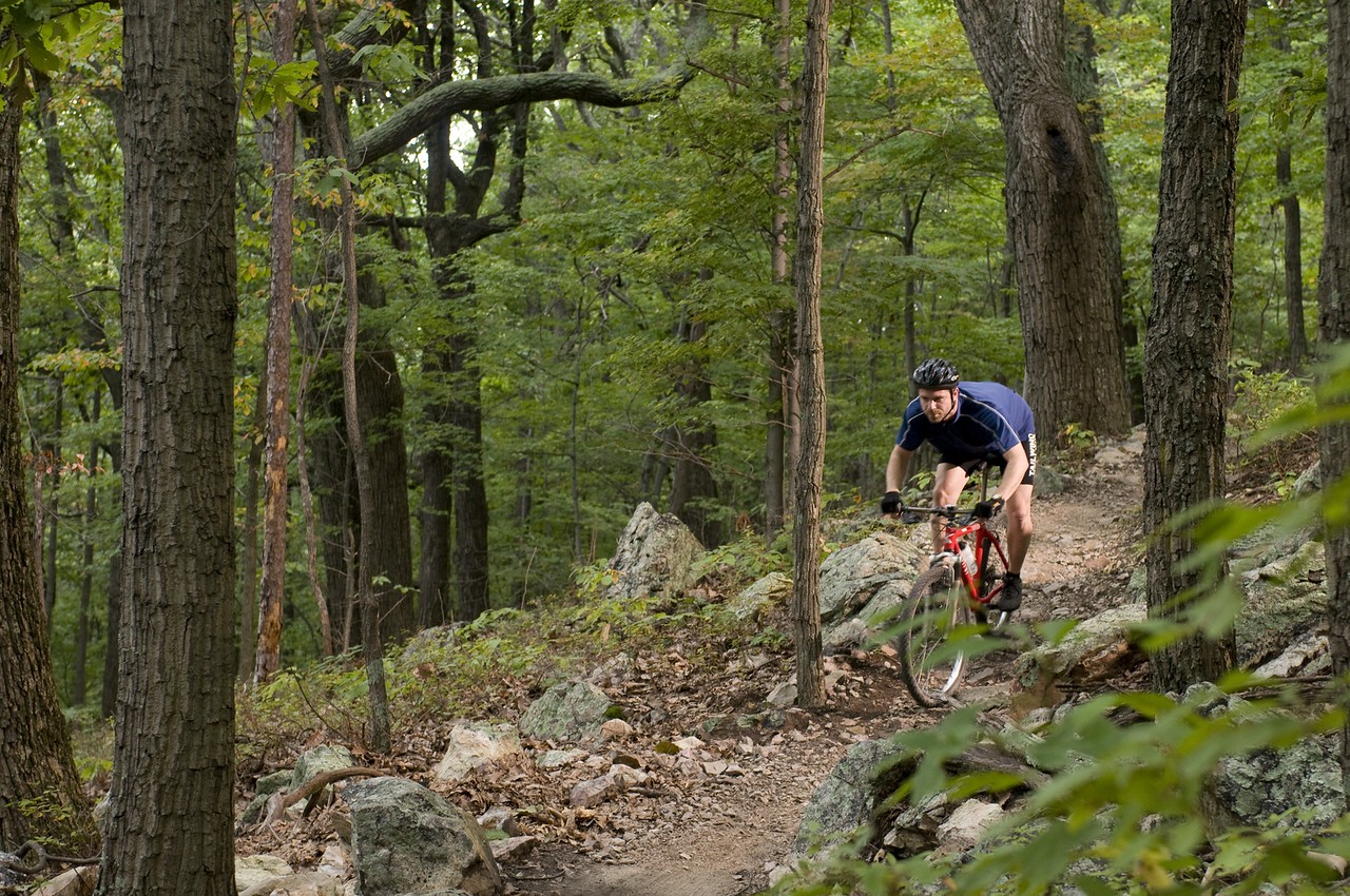 mountain biker riding down a mountain trail
