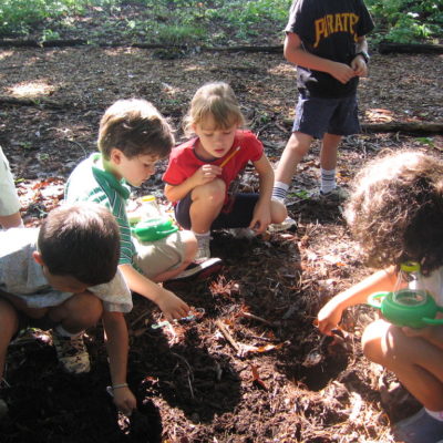 group of kids digging XL