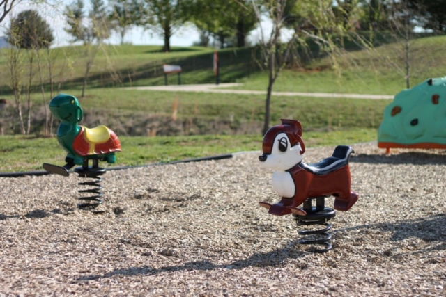 Cute squirrel and turtle play features for toddlers at Countryside Park