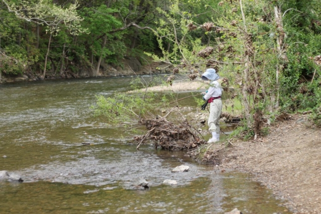 Volunteer Cleaning Wasena Park River Bank