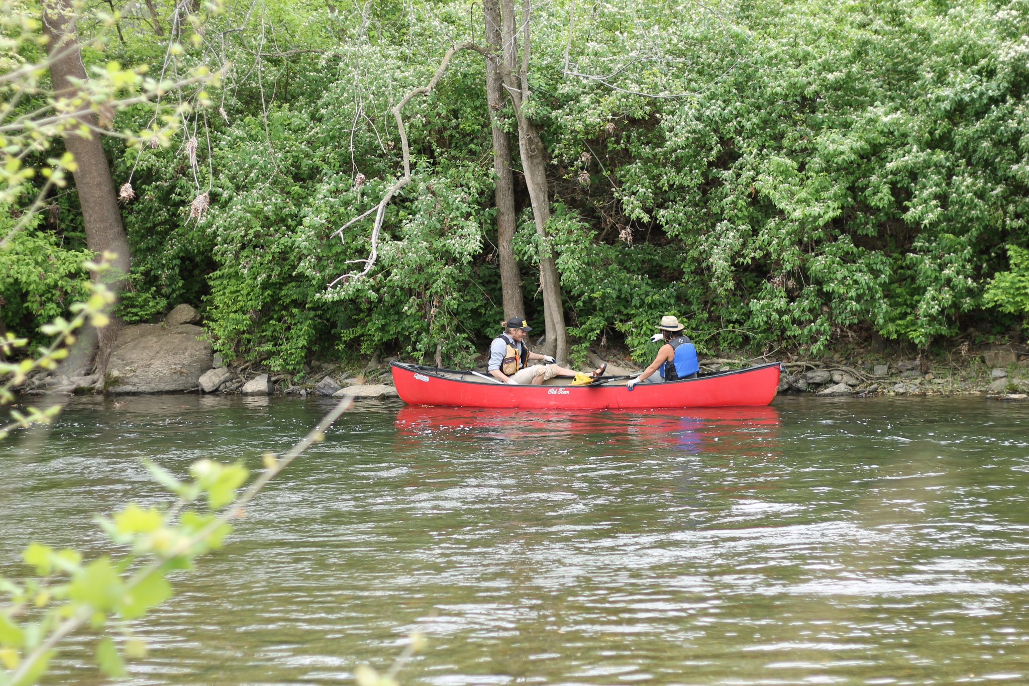 Roanoke River Clean Up Volunteers