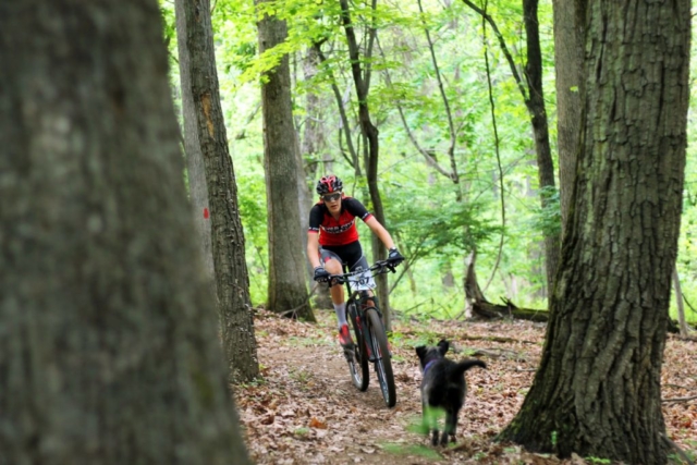 Sidewinder mountain biking trail in Mill Mountain Park in Roanoke