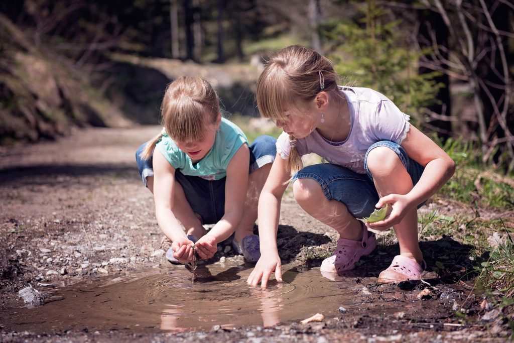 environmental education roanoke