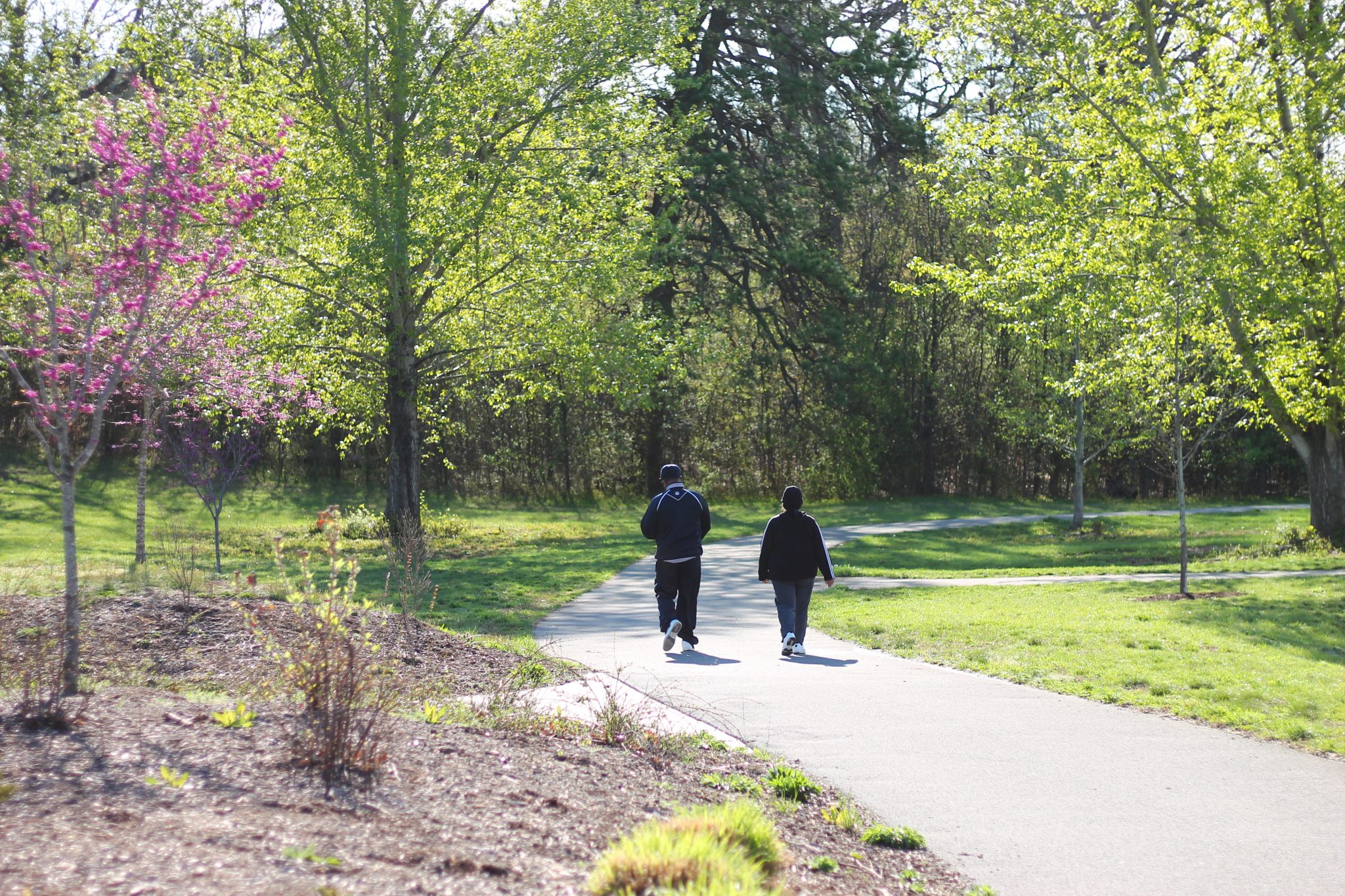 Greenway at Countryside Park