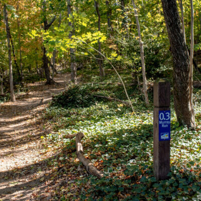 Murray Run Greenway in Woodlawn Natural Reserve