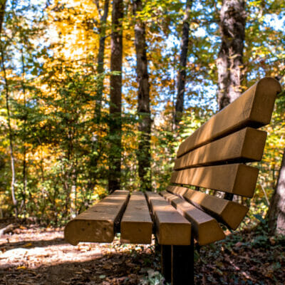 Murray Run Greenway in Woodlawn Natural Reserve