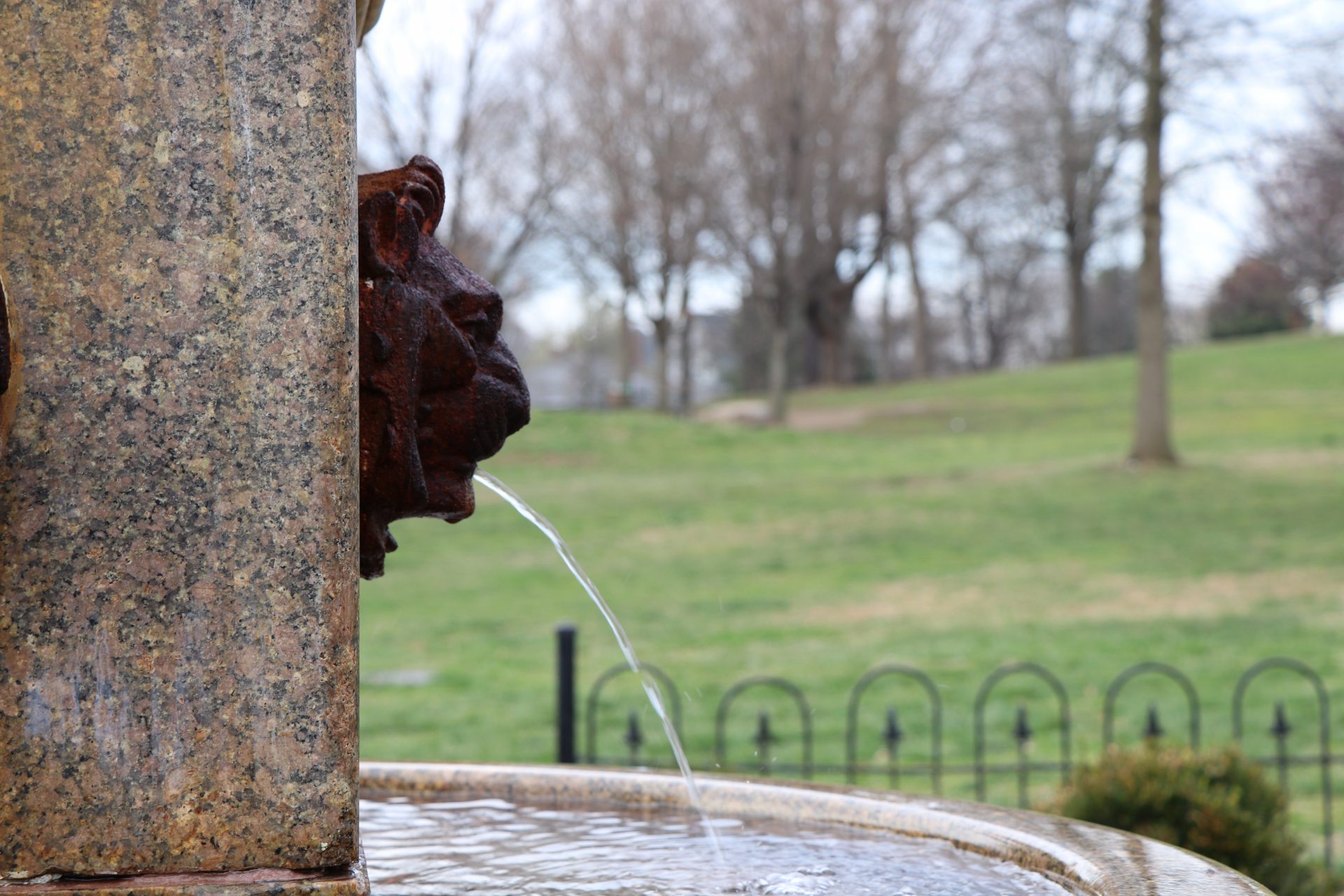 Up close shot of a fountain with water pouring from a lion's mouth
