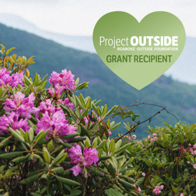 Rhododendron flowers with mountain in the background