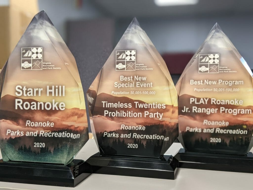 Picture of three awards from VRPS Conference