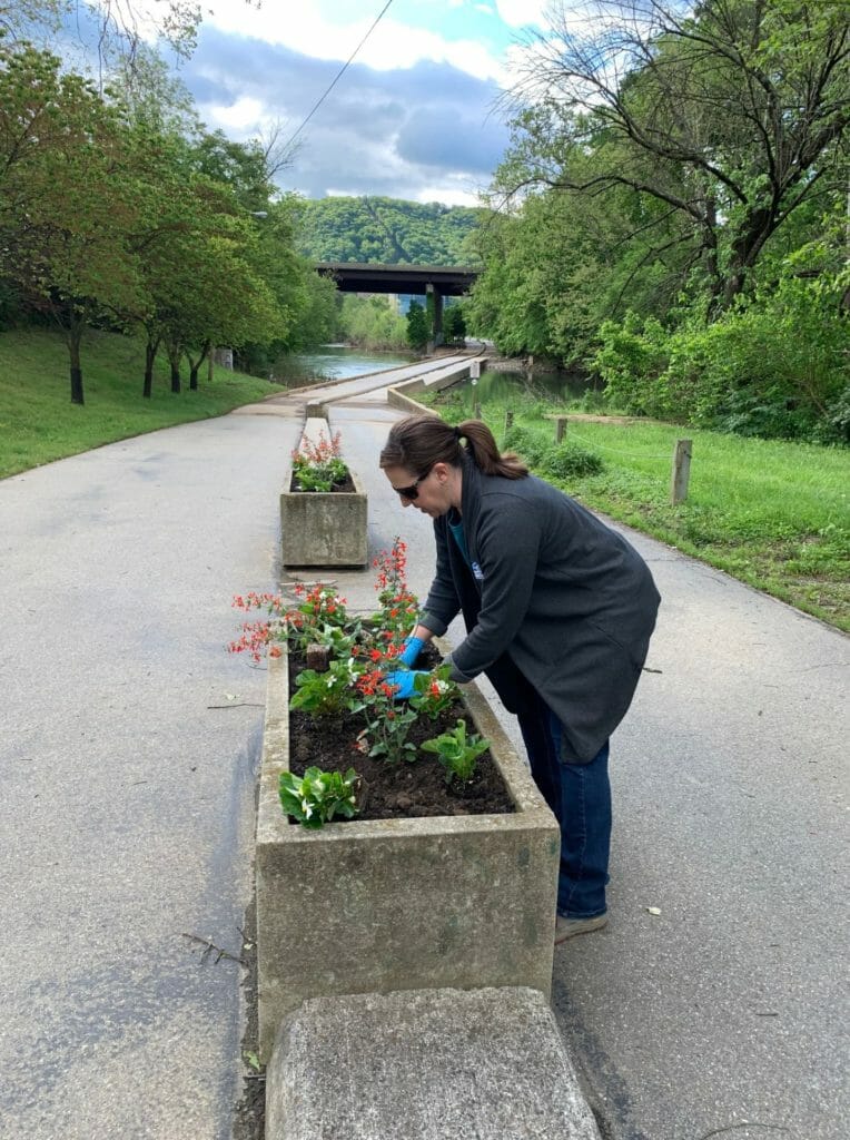 Woman outside on a greenway planting flowers in a planter box