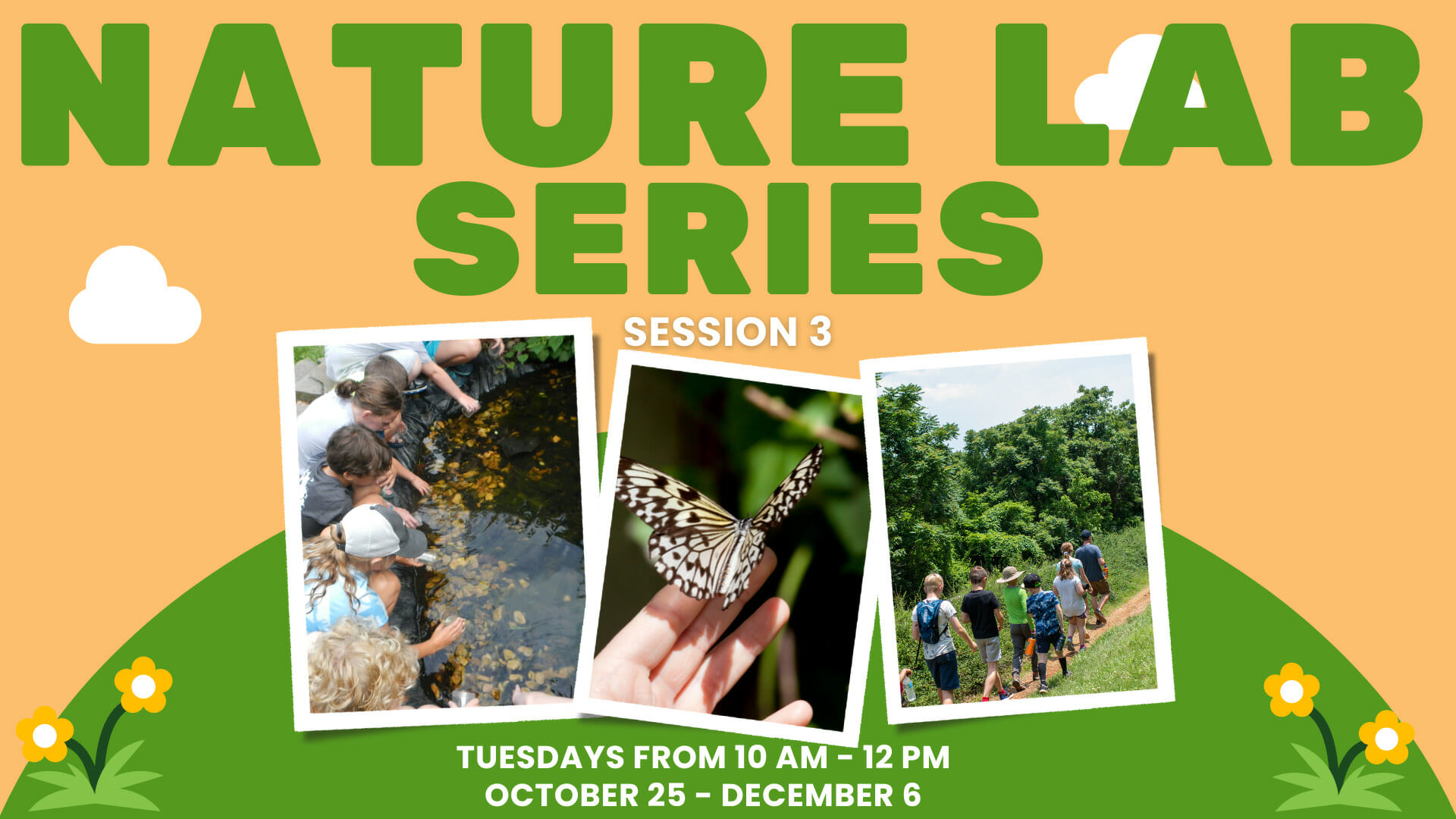 Nature Lab: Session 3