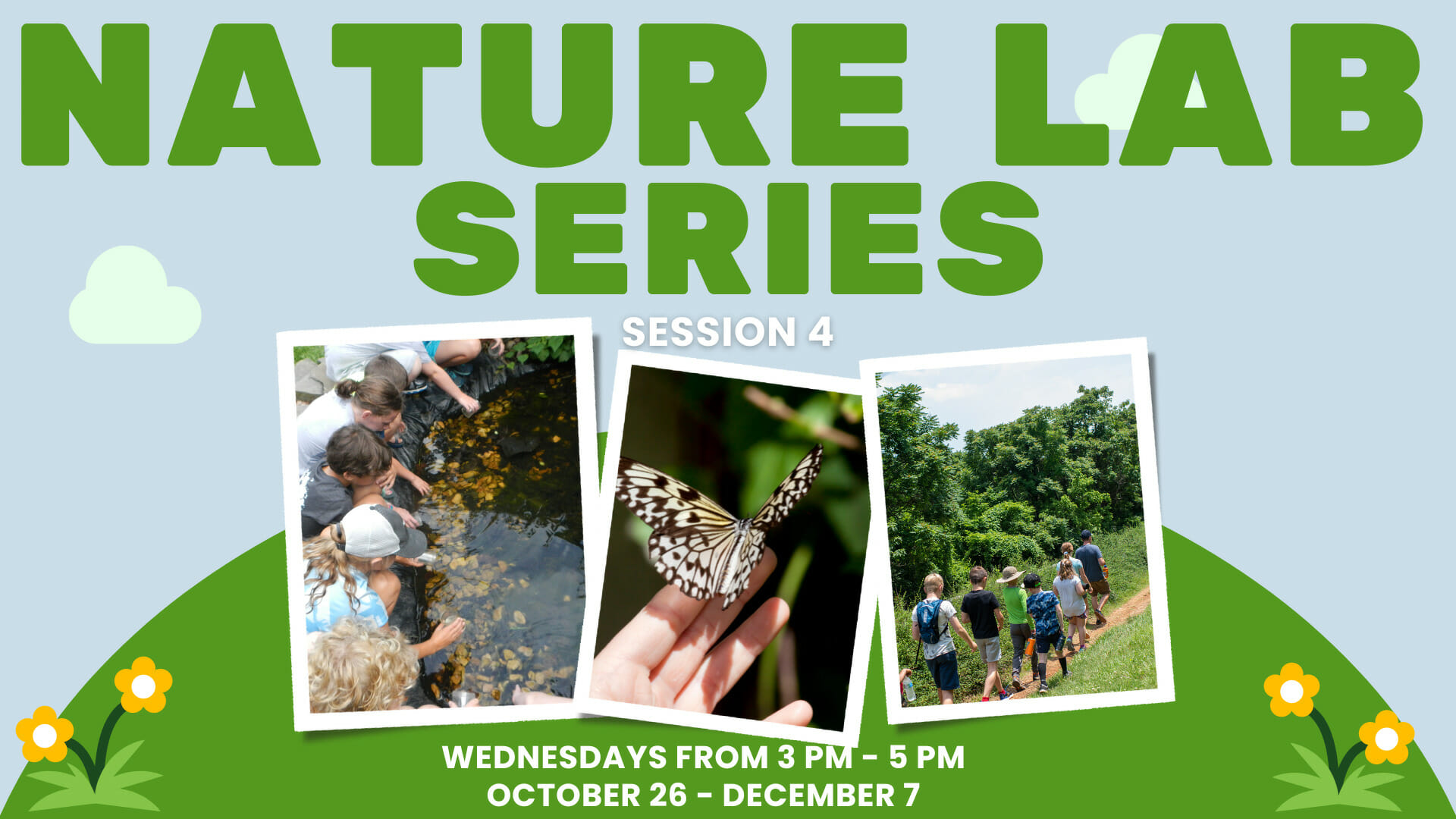Nature Lab: Session 4