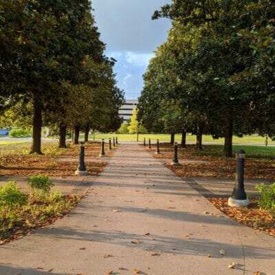 Magnolia lined pathway at River's Edge Park North