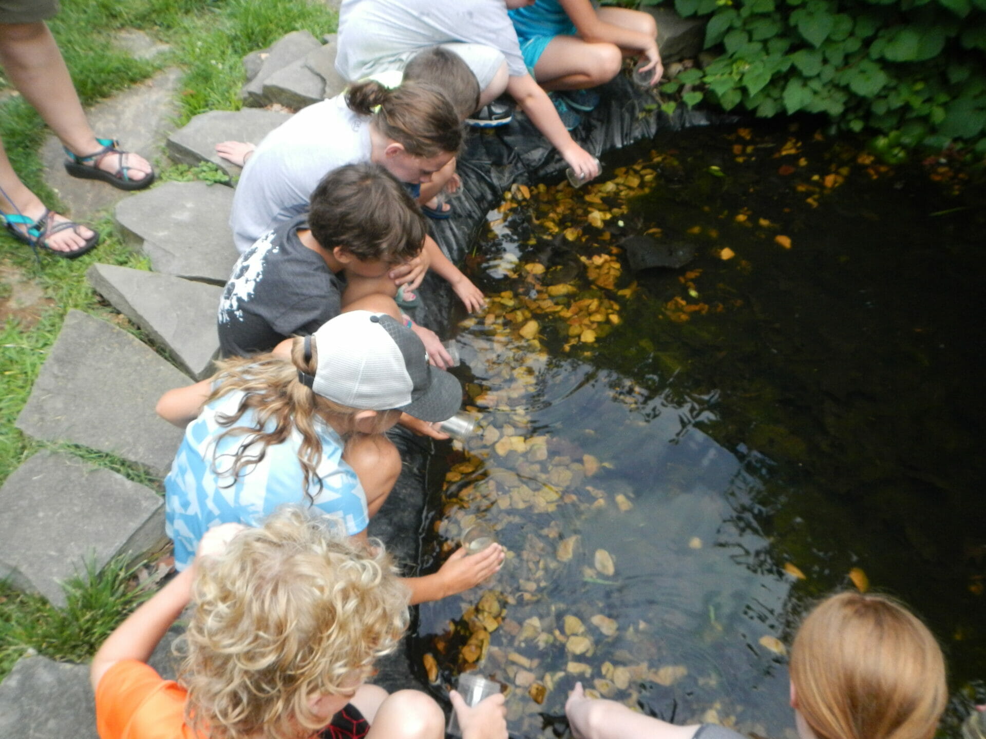 Nature Lab Mill Mountain Discovery Center