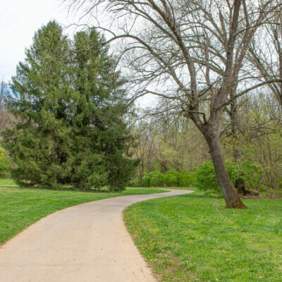 BrownRobertson.hires (9 of 11) BrownRobertson.hires (9 of 11)