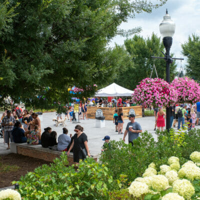 Festivalgoers at a summer event in Elmwood Park Roanoke, Virginia