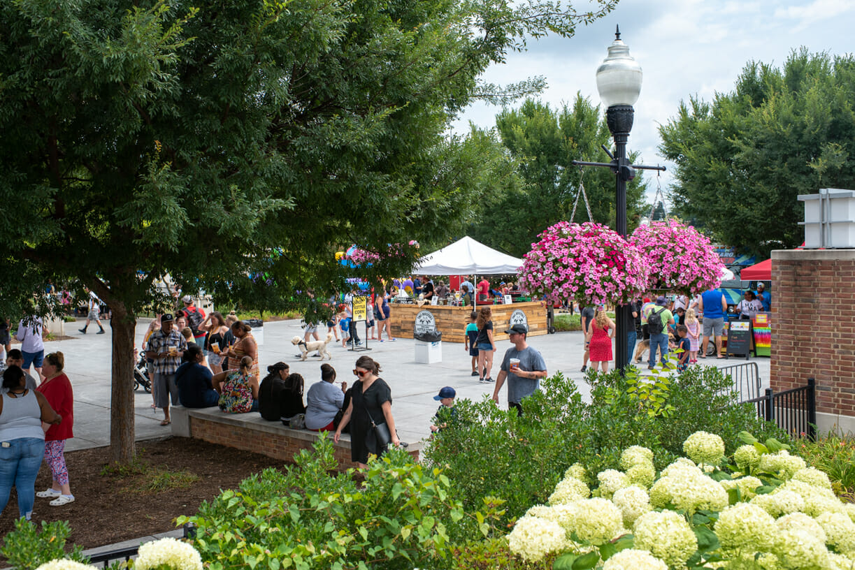 Elmwood Festival