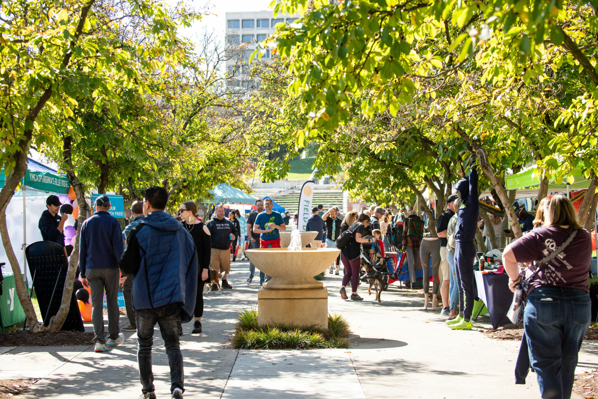 Elmwood Fountain Walk Festival