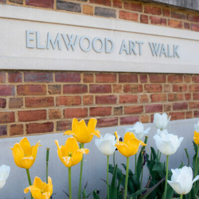 Entrance to the art walk at Elmwood Park with spring tulips in bloom