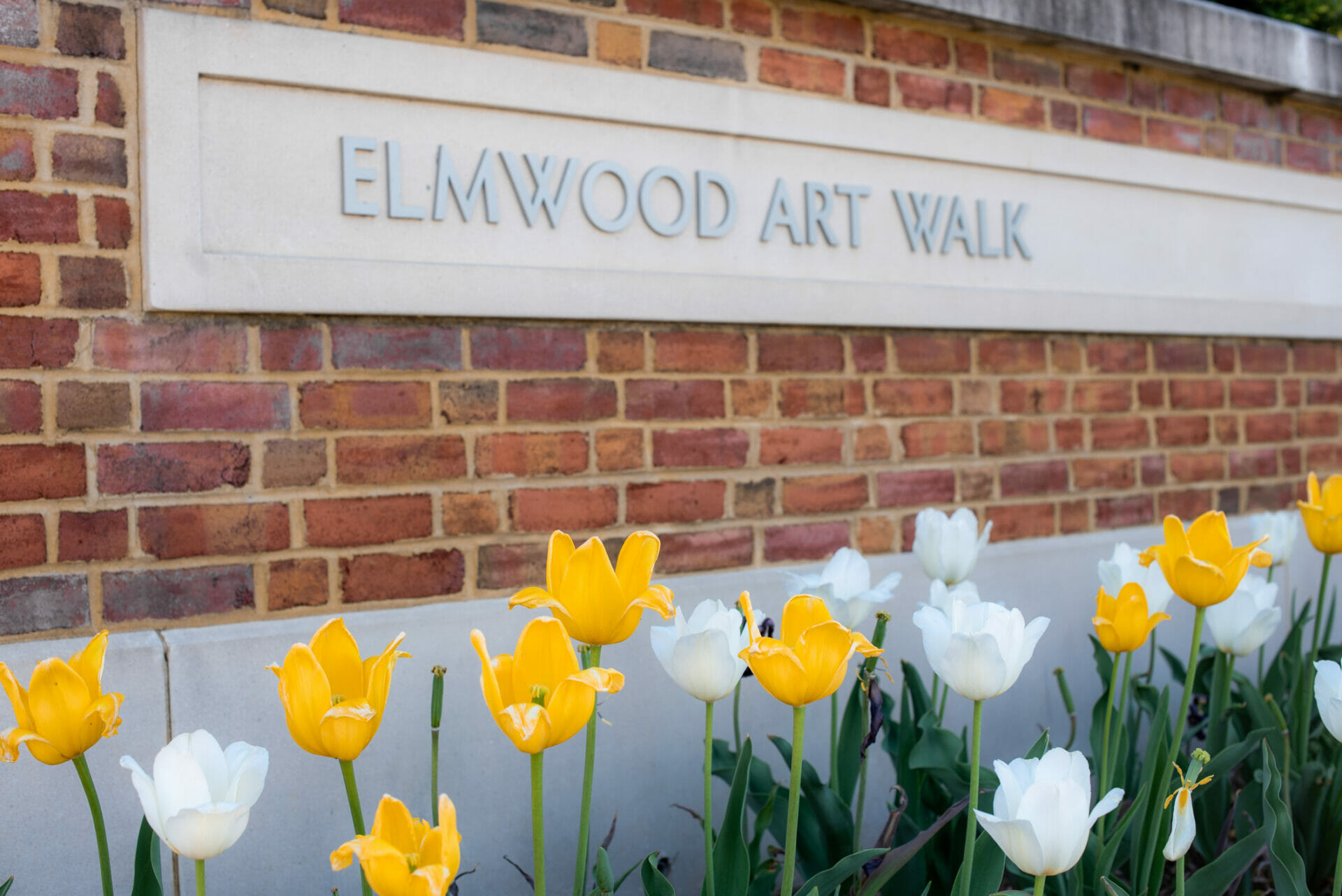Elmwood Art Walk Spring