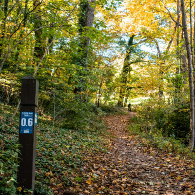 Fishburn Park Stream Trail