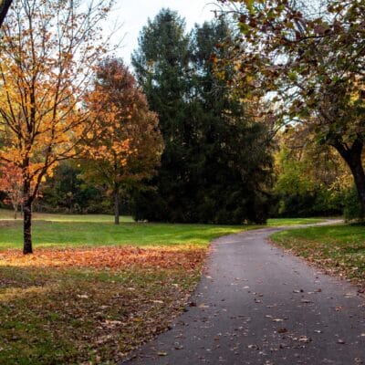 LickRun Brown RobertsonPark FallLeaves 390 LickRun Brown RobertsonPark FallLeaves 390