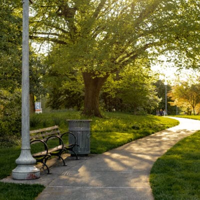 Pathway and bench in upper Elmwood Park