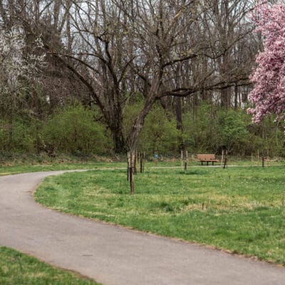 Lick Run Greenway LickRunGreenwaySpring web 844