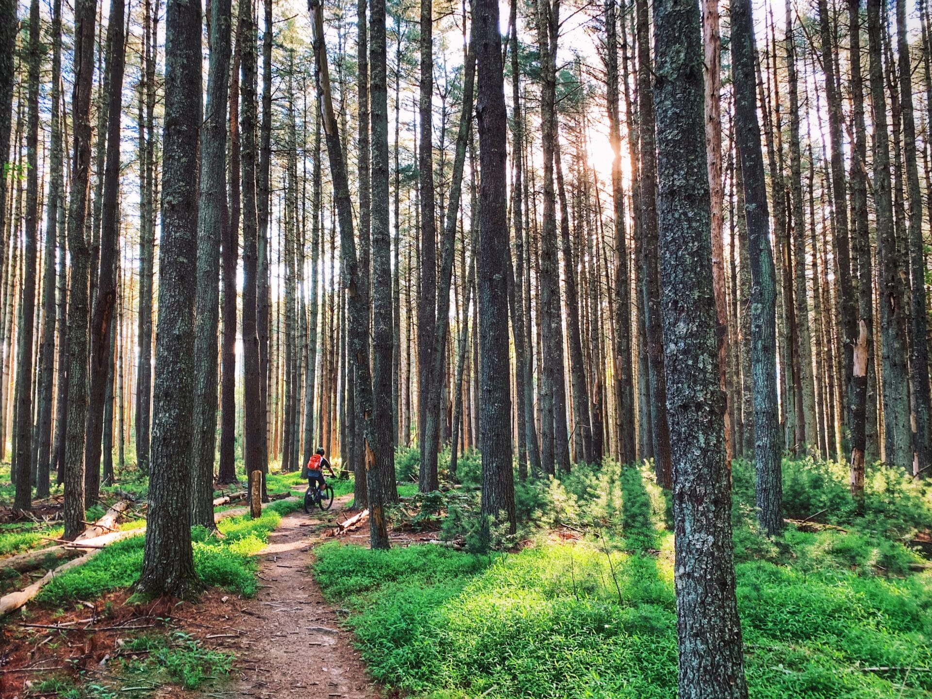 Carvins Cove Enchanted Forest Mountain Bike Ride