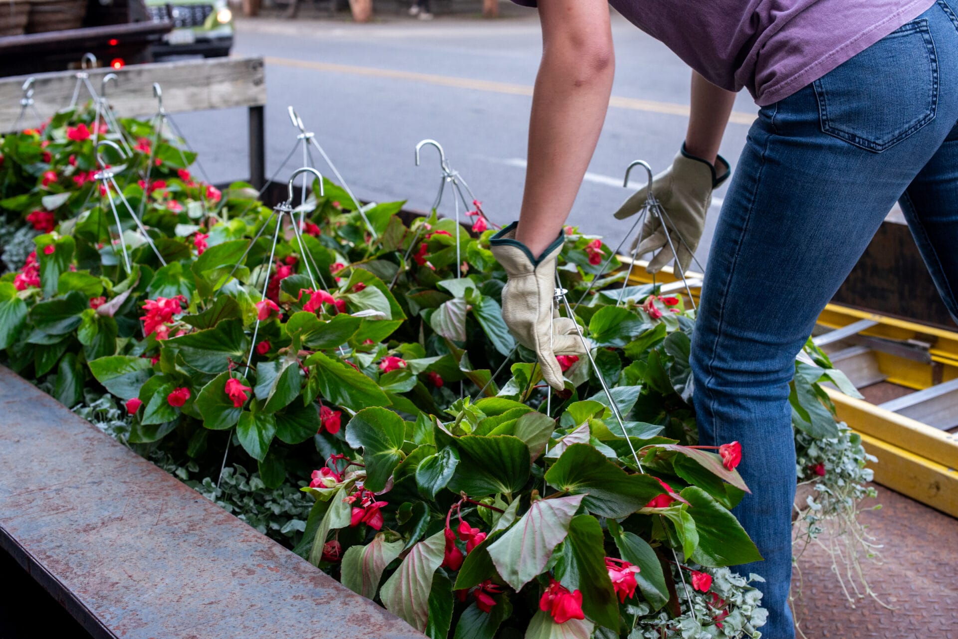 DowntownBaskets web 825