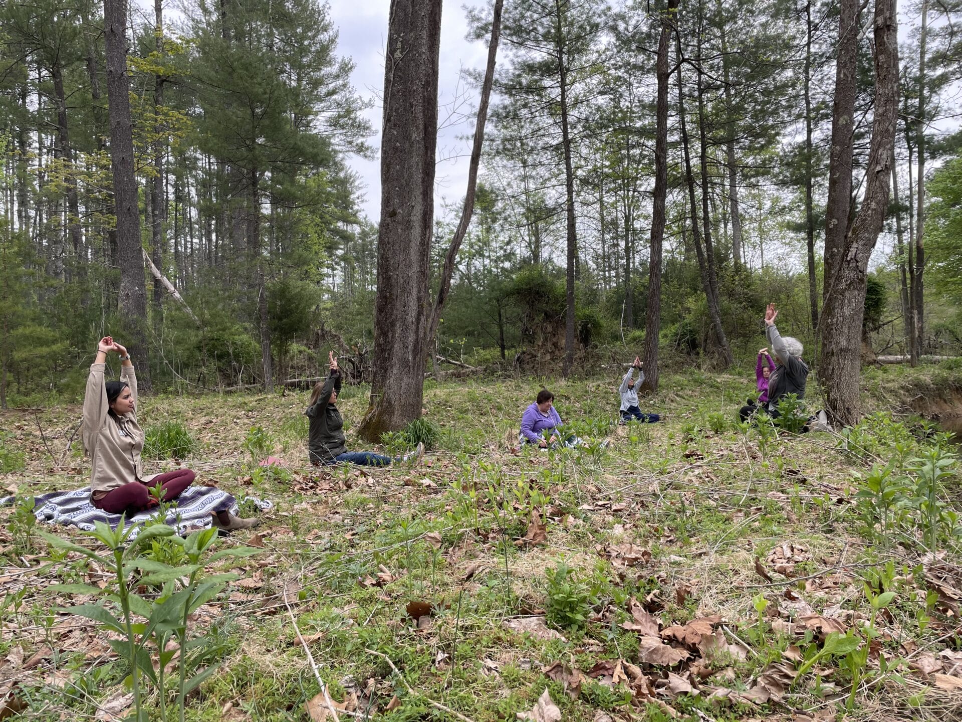 forestbathing 0431