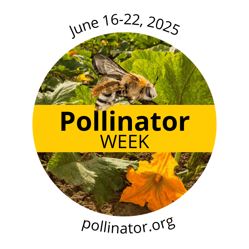 Pollinator Week Logo 2025 EN