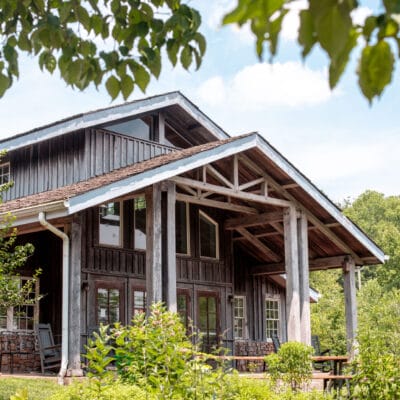 DiscoButterfly 365 DiscoButterfly 365