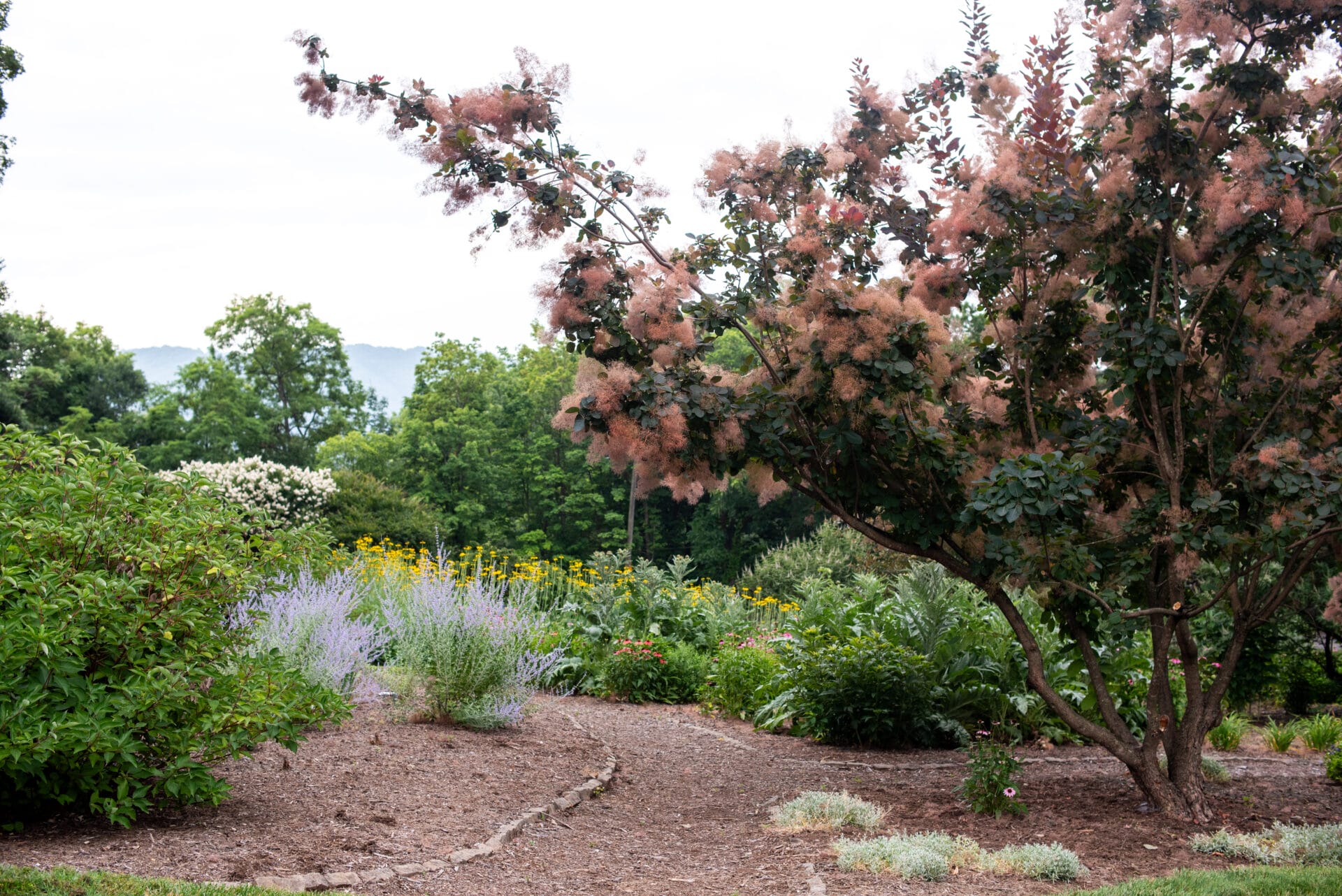 Garden at Fishburn Mansion