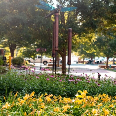 Larger than Life Sculpture resembling a dragonfly and cattails
