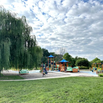 Countryside Park Willow Tree and Playground
