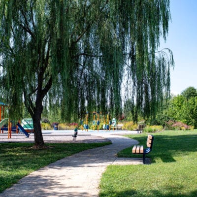 Countryside Park Countryside Park